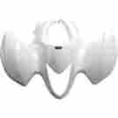 177451 Maier Mfg Front Fender White