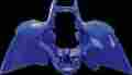 190116 Maier Mfg Rear Fender Blue