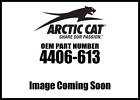 4406-613 Arctic Cat Prowler Xt International Panel New Oem 884646531148