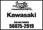 56075-2919 Kawasaki Teryx Pattern Rr Fender Lh New Oem 725984575688