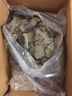 80100-hn8-a80zd Honda Fender Right Rear