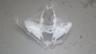 Bd3-f1500-00-00 Yamaha Unused Raptor Front Fender White