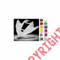 Tr-514693 Maier Mfg Front Fender-black Carbon Fiber