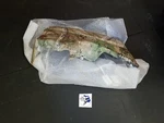 Kawasaki Rear Fender Camo Oem 35023-0323 Qty 1. Fixed Price $82.99.