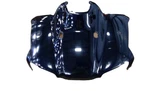 Fits Honda Motorcycle Powersports Fender FR*NH1* Pt# 61100-HN7-650ZD. Fixed Price $210.67.