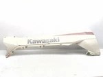 23-25 Kawasaki Teryx KRX4 1000 Rear Right Fender Fairing Guard 35023-0464-75J. Fixed Price $227.49.