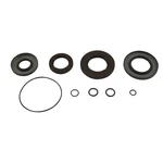 Balls Transaxle Seal Kit 25-2114-5 Polaris Ranger 1000 Crew 20 Ships Today. Fixed Price $77.04.