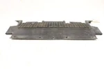 Polaris- Divider Panel, Rear, Black- Oem 0454635. Fixed Price $239.99.
