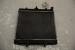 John Deere Gator 825I 12 Radiator AM138710 51968. Fixed Price $399.95.