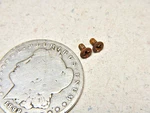 78 Suzuki GS400 Right/left Side Gas Tank Badge Emblem Mounting Screws. Fixed Price $7.49.