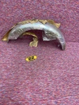 Genuine Suzuki Nos 63110-18500 Rear Fender 70 T3501. Fixed Price $329.99.