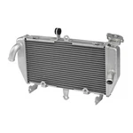 Radiator Cooler Cooling Fit For Yamaha MT-03 MT-25 2016-2025 2017 2018 2019 2020. Fixed Price $84.80.