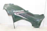 2006 Kawasaki Brute Force 650 4X4I Left Plastic Side Panel. Fixed Price $49.99.