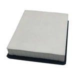 Air Filter S03-A207B00-000-02 For Segway Fugleman Villain UT10 2022-2025. Fixed Price $34.99.