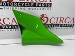 Kawasaki ZX10R 06-07 Side Cover Left (green) 360010071777. Fixed Price $171.60.