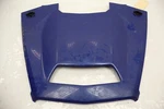 Kawasaki Teryx Krx 1000 24 Hood (blue) 14093-0805-66W 53254. Fixed Price $199.99.