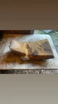 1985 Honda Atc 250SX Seat Pan / Foam Brackets 77100-HA6-000. Fixed Price $175.00.