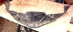 2014-2019 Polaris 5454965 Slingshot Deck Panel Closeout Rear Oem. Fixed Price $59.99.