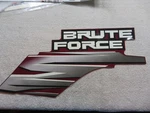 Kawasaki New KVF750 Brute Force 2011 Right Side Cover Decal 56069-0736. Fixed Price $36.25.