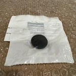 Polaris 5458987-070 Rear Plug-hole Camera Black Xpedition Eps Ultimate. Fixed Price $12.00.
