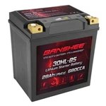 Banshee YTX30L-BS LIFEPO4 Battery 2017 Cfmoto Cforce 500S Eps. Fixed Price $179.88.