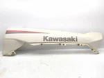 23-25 Kawasaki Teryx KRX4 1000 Rear Left Fender Fairing Guard 35023-0463-75J. Fixed Price $227.49.