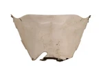 87 Honda Elite Front Fender B CH150. Fixed Price $39.99.