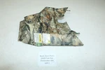 2006 Can-am Outlander 400 Xt 4X4 Gas Tank Fuel Cell Cover Body Panel Camo. Fixed Price $28.45.