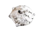 03 Honda TRX250EX Outer Stator Plate Cover Sportrax 2X4. Fixed Price $37.99.