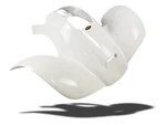New Honda Trx 300EX 93-06 250X 87-92 White Plastic Standard Front Fender. Fixed Price $332.83.