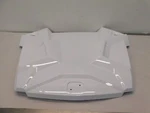 S54 5457312-599 Oem Polaris Rzr Center Hood. Fixed Price $279.99.