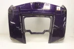 Polaris Rzr 800 Efi 10 Fender Front (purple) 2634019-381 48547. Fixed Price $499.99.