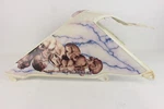 2008 Suzuki Quadracer LTR450 Fuel Tank Cover C6008. Fixed Price $64.99.