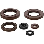 Quadboss Oil Seal Set 822390. Fixed Price $59.60.