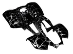 Redcap 1-PIECE Body Plastic Fender For Icebear Coolster 3050 Taotao. Fixed Price $119.97.