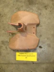 1986 Suzuki LT50 Quadrunner Oem Front Fender Orange Mud Guard Faded. Fixed Price $70.00.