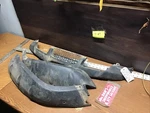 Grille Front Splash Guards # 61866-HN7-000ZA Honda 2005 Rancher 350 Es 2X4. Fixed Price $50.69.