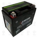 Agm Battery For 31021000 31021001 Replacement. Fixed Price $70.73.