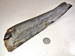 85 Honda Fourtrax Left Side Inner Front Fender Mud Guard. Fixed Price $22.49.