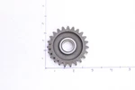 Yamaha 2003-2005 Raptor 660 Drive Gear 23T 5LP-17281-20-00. Fixed Price $6.99.