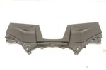 Honda Talon 1000X 19 Hood Rear 61310-HL6-A00ZD 44638. Fixed Price $214.99.