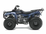 New Oem Kawasaki Bayou 250 Rear Fender Blue. Fixed Price $179.95.